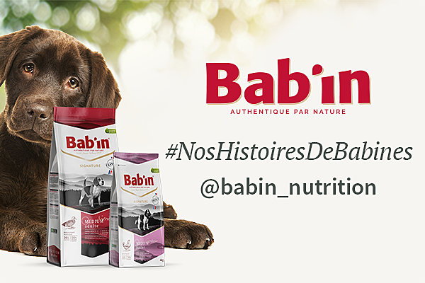 #NosHistoiresDeBabines CHIEN